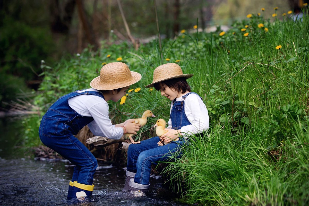 heiro_07's tweet photo. Little explorer + tiny garden = perfect weekend fun!  Weeding, planting u0026 laughing together—every dirty handprint’s a treasure! https://t.co/JHukFYA0JF