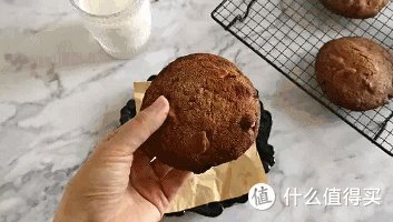 NMack13875's tweet photo. Just had the best cozy Sunday baking session—my first batch of homemade chocolate chip cookies came out warm, chewy and straight out of my little oven! Nothing beats the smell of fresh baked treats filling the whole house https://t.co/MvGTEpKvTZ