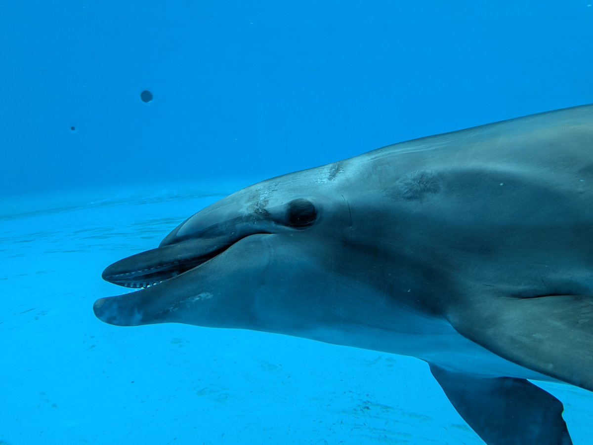 k_nocturne's tweet photo. 水族館〜 https://t.co/nPH8oaZ7iw