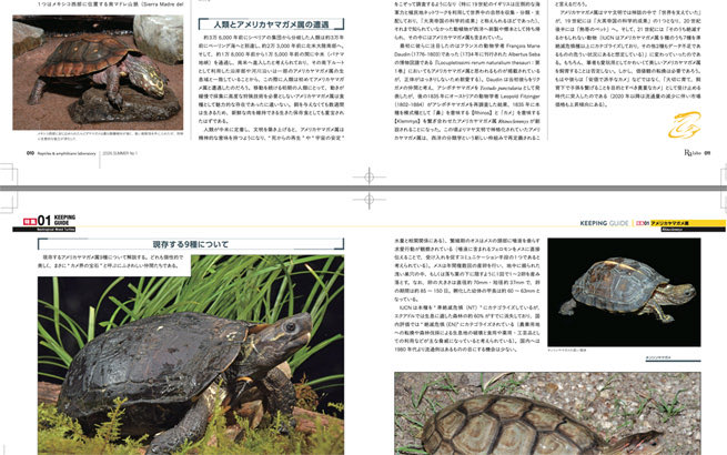 nagisabunko's tweet photo. 発売までのカウントダウン企画。Ralabo創刊号内容案内その1。まずは大ボリュームでお届けするアメリカヤマガメ記事。種類解説やタイプ別飼育方法だけではなく、なぜイシガメ科の彼らがそこに分布しているのか、進化や人間との関わりなどさまざまな角度から深掘りします。お求めは全国の専門店にて。 https://t.co/WliSv5SM6p
