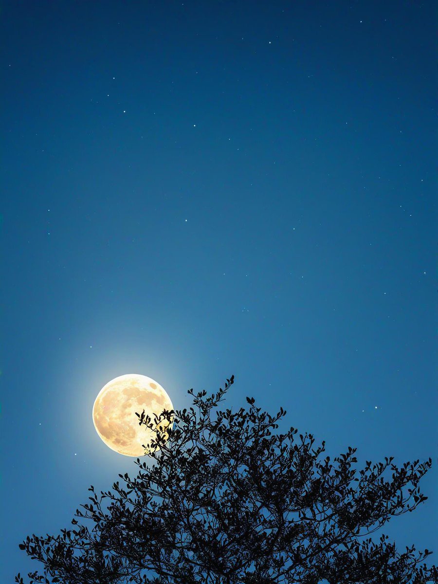 NalloReasco's tweet photo. Happy Mid-Autumn Festival! Sharing mooncakes u0026 warm vibes with loved ones under the full moon tonight. https://t.co/fdS4Vh2iU8