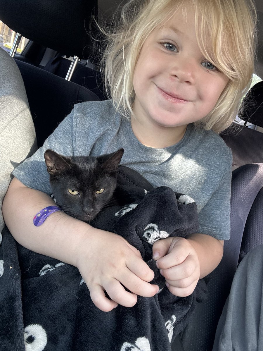 tia__joness's tweet photo. we have a kitten friend that’s been hanging in our driveway &amp; under our cars. tempted to steal him w me to my boyfriends😈 https://t.co/ia4mE4BlJO