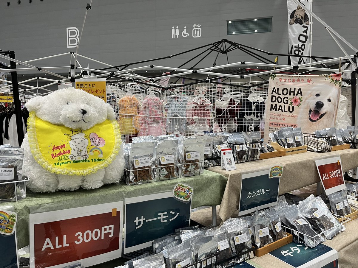 leebaaba0118's tweet photo. こんにちは☀️

今日明日は、群馬県高崎市にあるGメッセ群馬にて、、、

『プレミアムドッグフェスタ』

にて、亡き愛犬リーのお友だちが出店しているので、販売のお手伝いをしています。

もしお時間があれば、142番ブースに遊びに来てください🐻‍❄️ https://t.co/8cPoehl2sY
