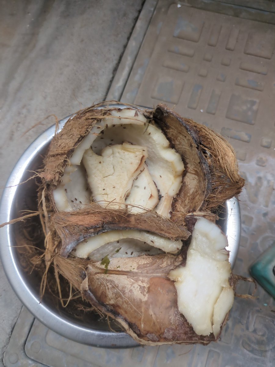 MuinSurendra's tweet photo. @JioMart_Support I want to return it but no one came to collect it. https://t.co/GAOGhWsa1Q