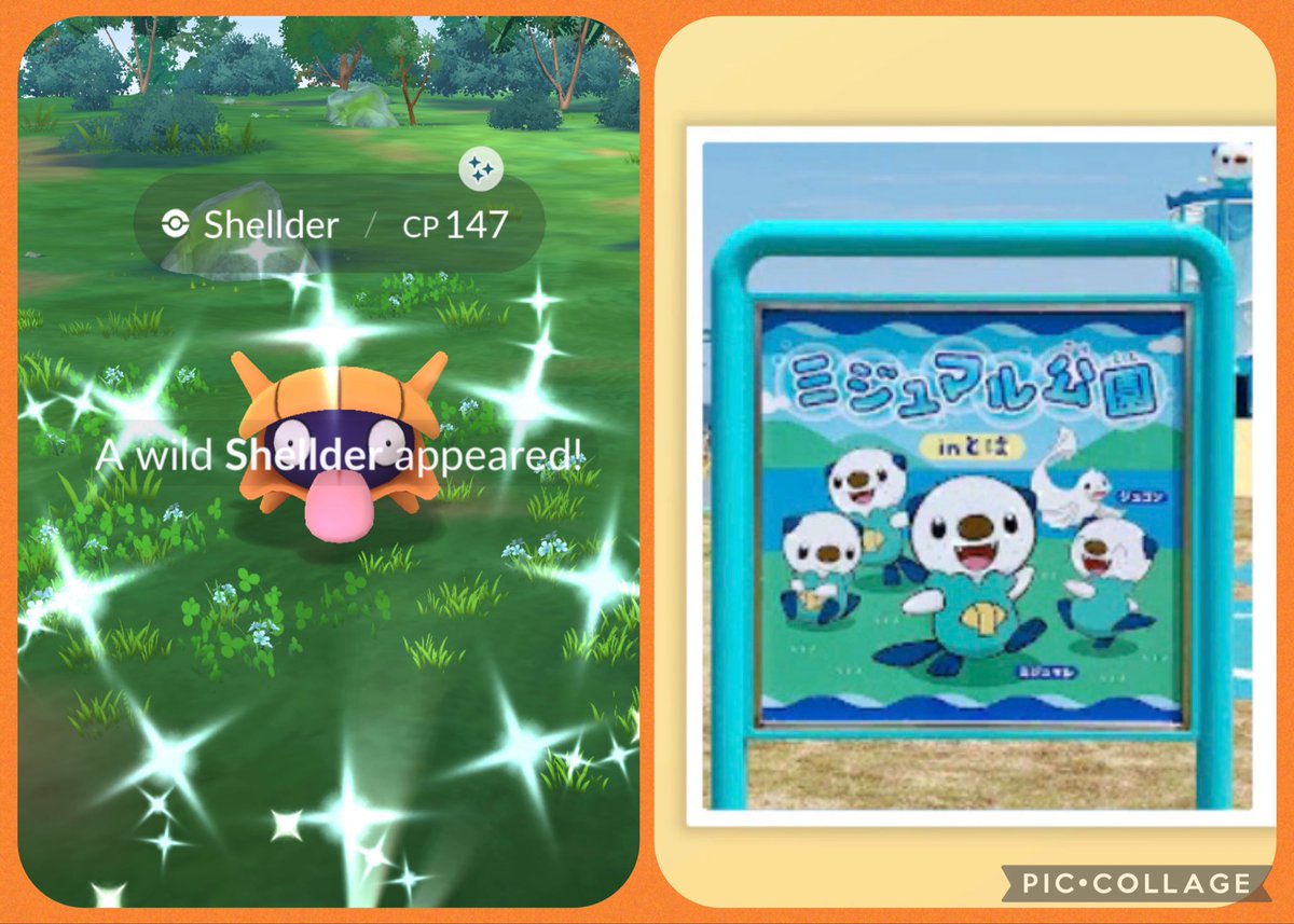 SmileThippy's tweet photo. ✌︎˶╹ꇴ╹˶✌︎ ´- ᵀᴴᴬᴺᴷ ᵞᴼᵁ ◡̈* 🎁
#ShinyShellder
#PokemonGO🫶🏻🧢 https://t.co/S7nqMsZcXo