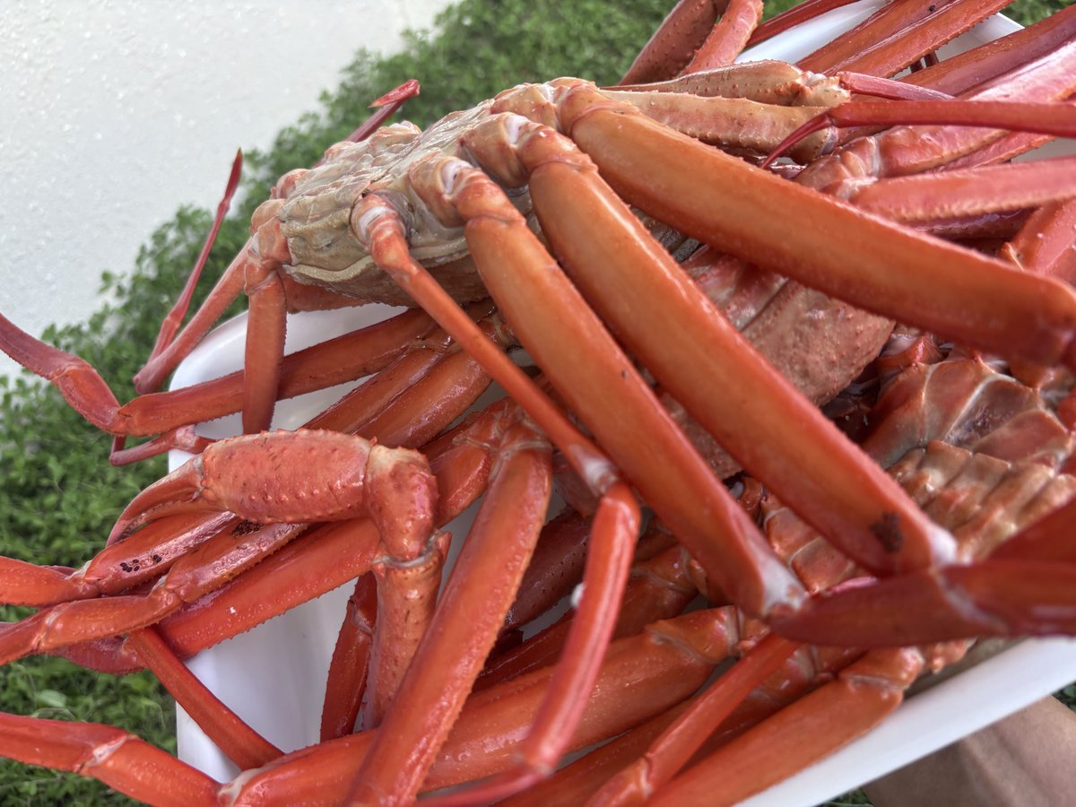 Pel_YoLoTube's tweet photo. 生牡蠣🦪で当たり狙うついでに蟹🦀 https://t.co/8tgRJ9F7t5