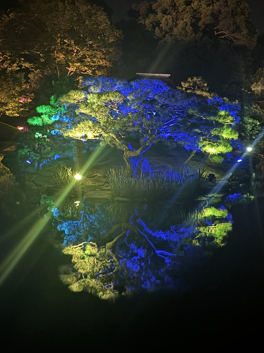 5ringoReiko's tweet photo. 後楽園の幻想庭園

昨日誘われて
お仕事帰りに行ってきた

マッシュルームフライとノンアル
クラフトビール飲みたかった〜 https://t.co/a4i4K1dDnL