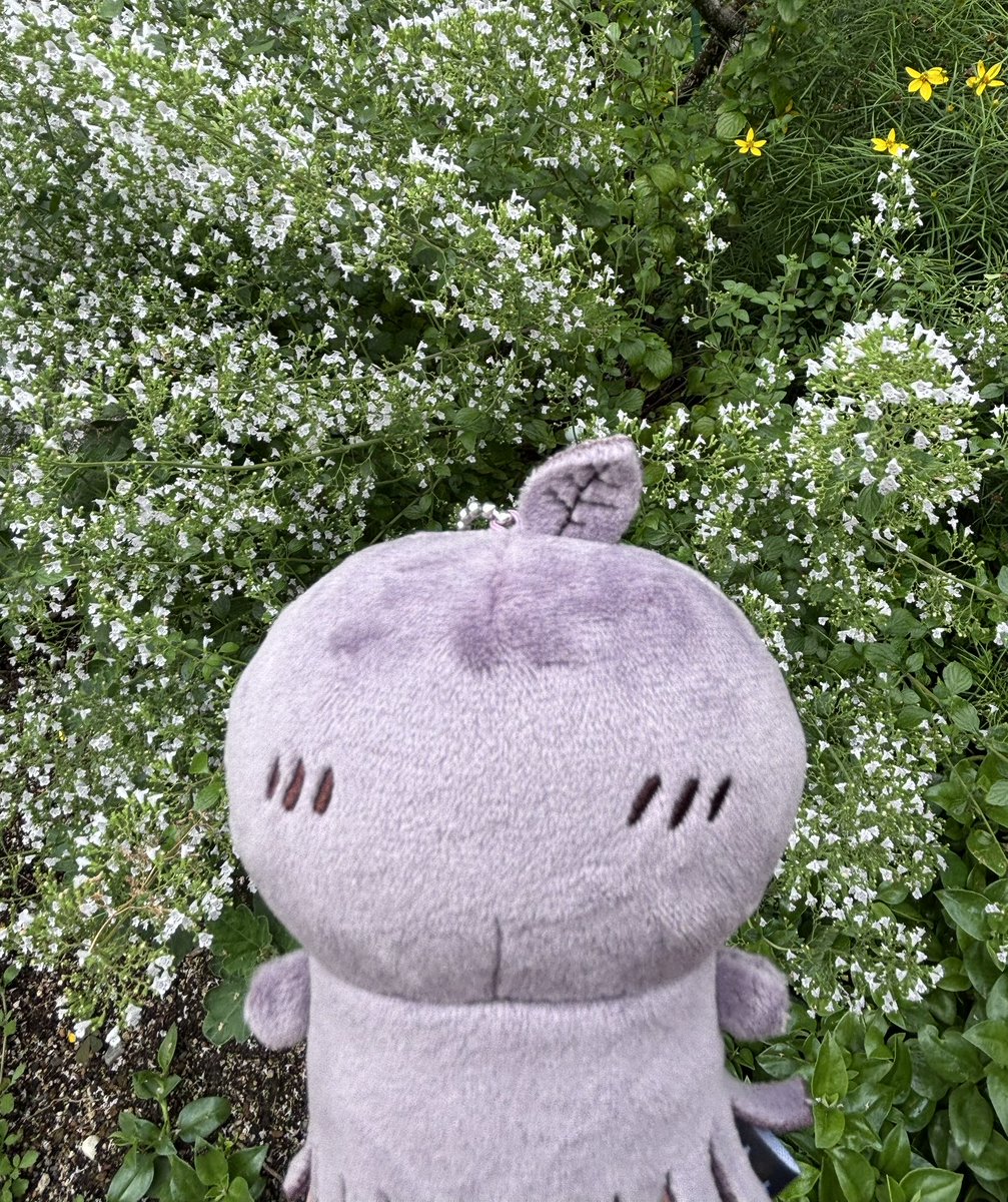 skkyszm's tweet photo. ふたりを色んなところに連れて行ってあげたいな https://t.co/BijN94pf9M