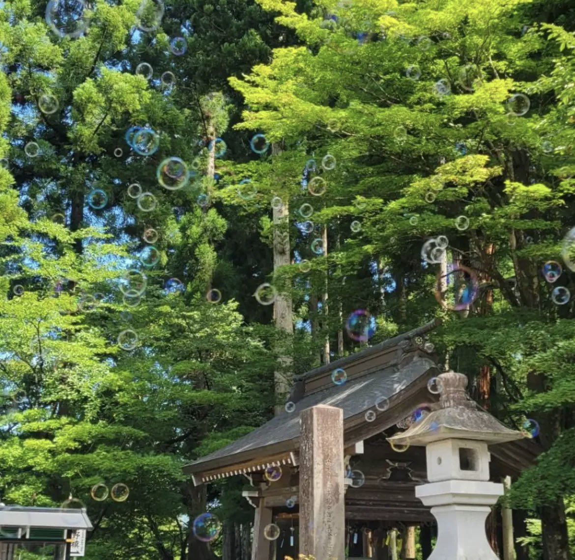torioikannon's tweet photo. 【終戦記念日】本日、戦没者並びに熊本の地震で亡くなられた方の慰霊法要を行いました。平和、復興を祈念申し上げます。合掌 https://t.co/SDcvD8QNEr