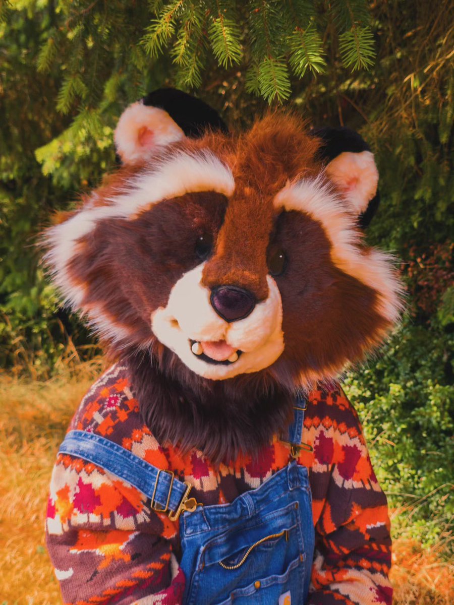 RiverTales__'s tweet photo. 🐻 https://t.co/8XcA5GsuG7