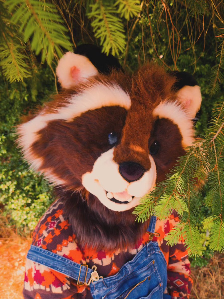 RiverTales__'s tweet photo. 🐻 https://t.co/8XcA5GsuG7