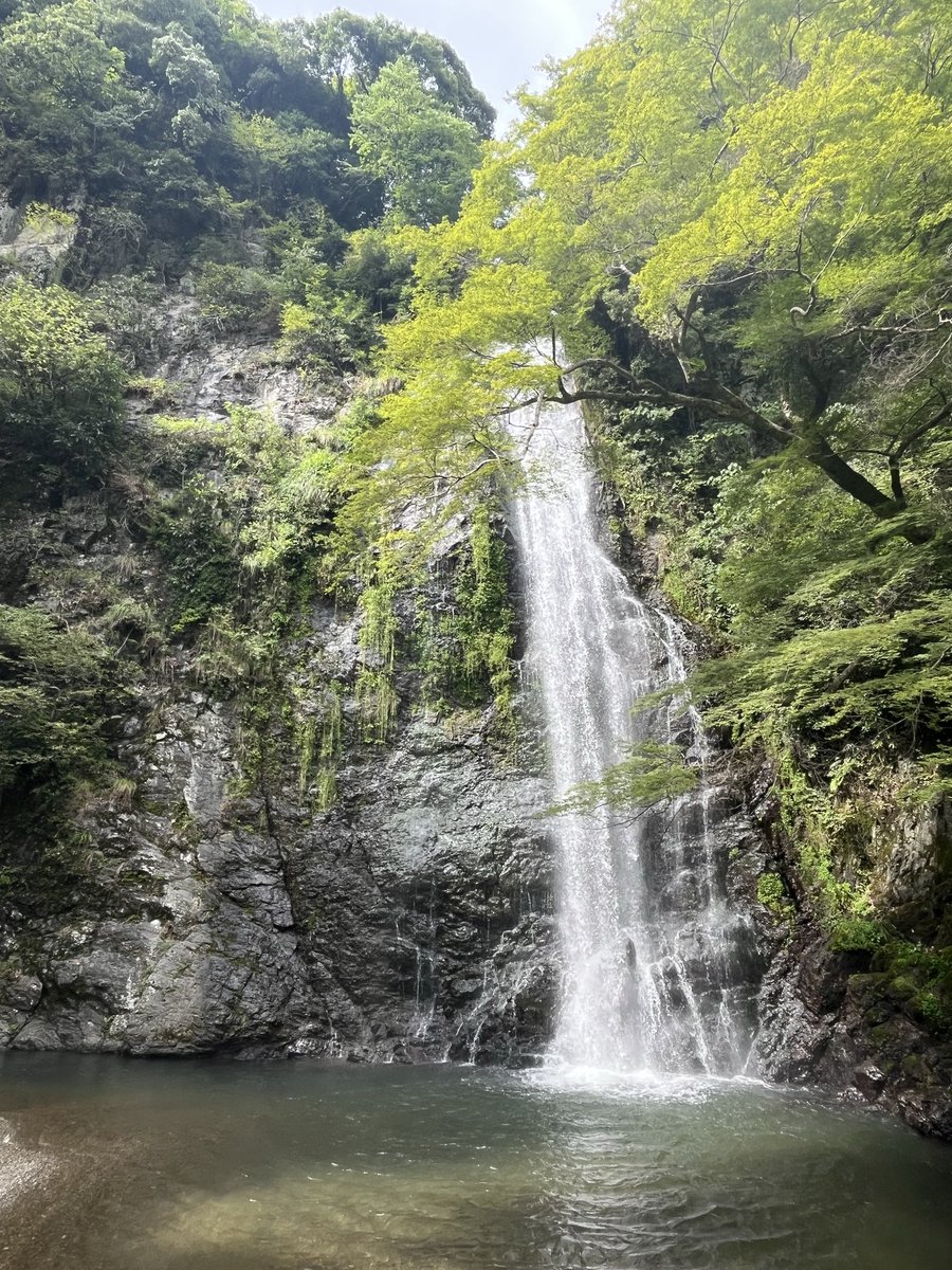Lumi_ika's tweet photo. ｳｰﾝ  ｲｲﾈｰ https://t.co/8R8hlx0hBX
