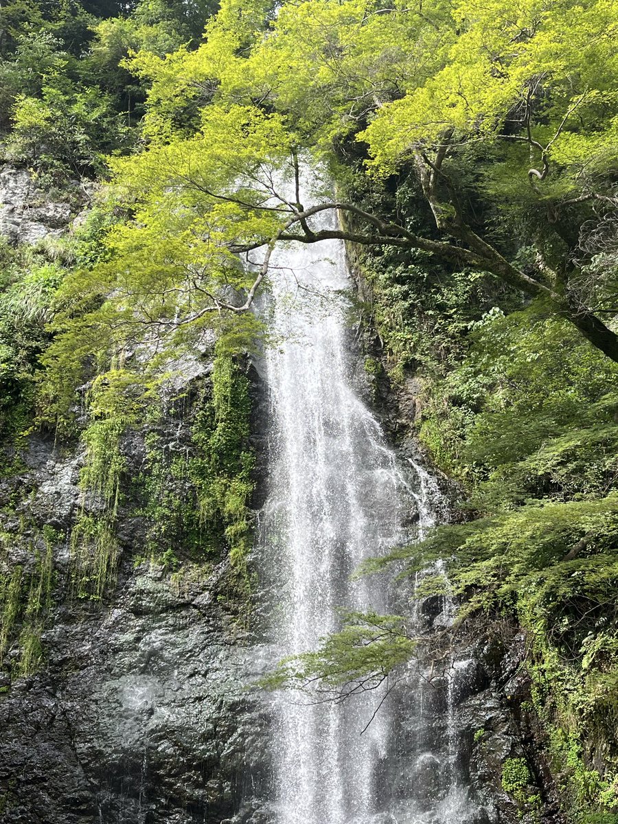 Lumi_ika's tweet photo. ｳｰﾝ  ｲｲﾈｰ https://t.co/8R8hlx0hBX