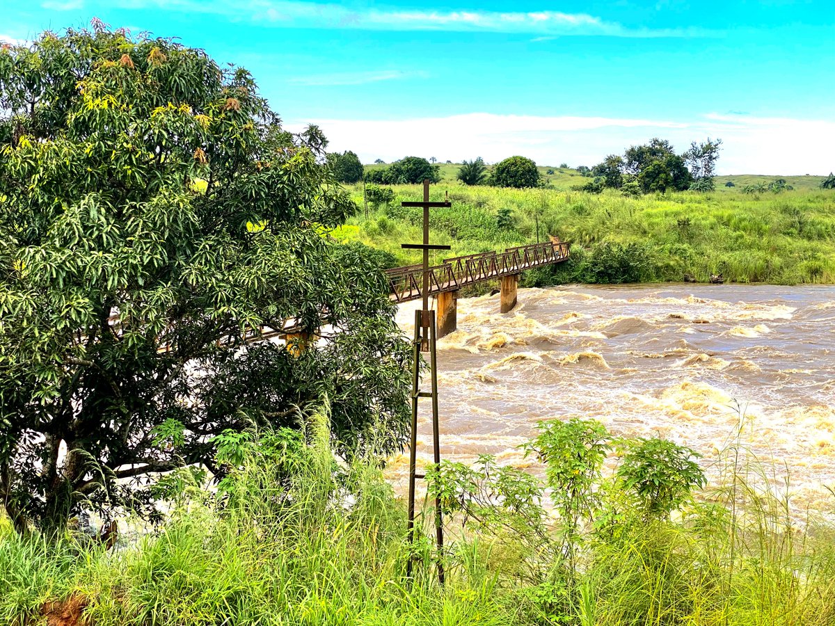 VisitKasaiDRC's tweet photo. 📍#kasaiOr | RDC 🇨🇩
#visitkasaïdrc | #visitcongo 🏝️
Bon week-end depuis les rives de la majestueuse rivière Lubilanji, à Tshiala, dans le territoire de Katanda 🌊🌴
Explorer, voyager, s'aventurer et découvrir le Grand Kasaï 🏝️
@KalonjiAuguy3 @CongoRdtourism @UNWTO https://t.co/4rEE5cTS5R