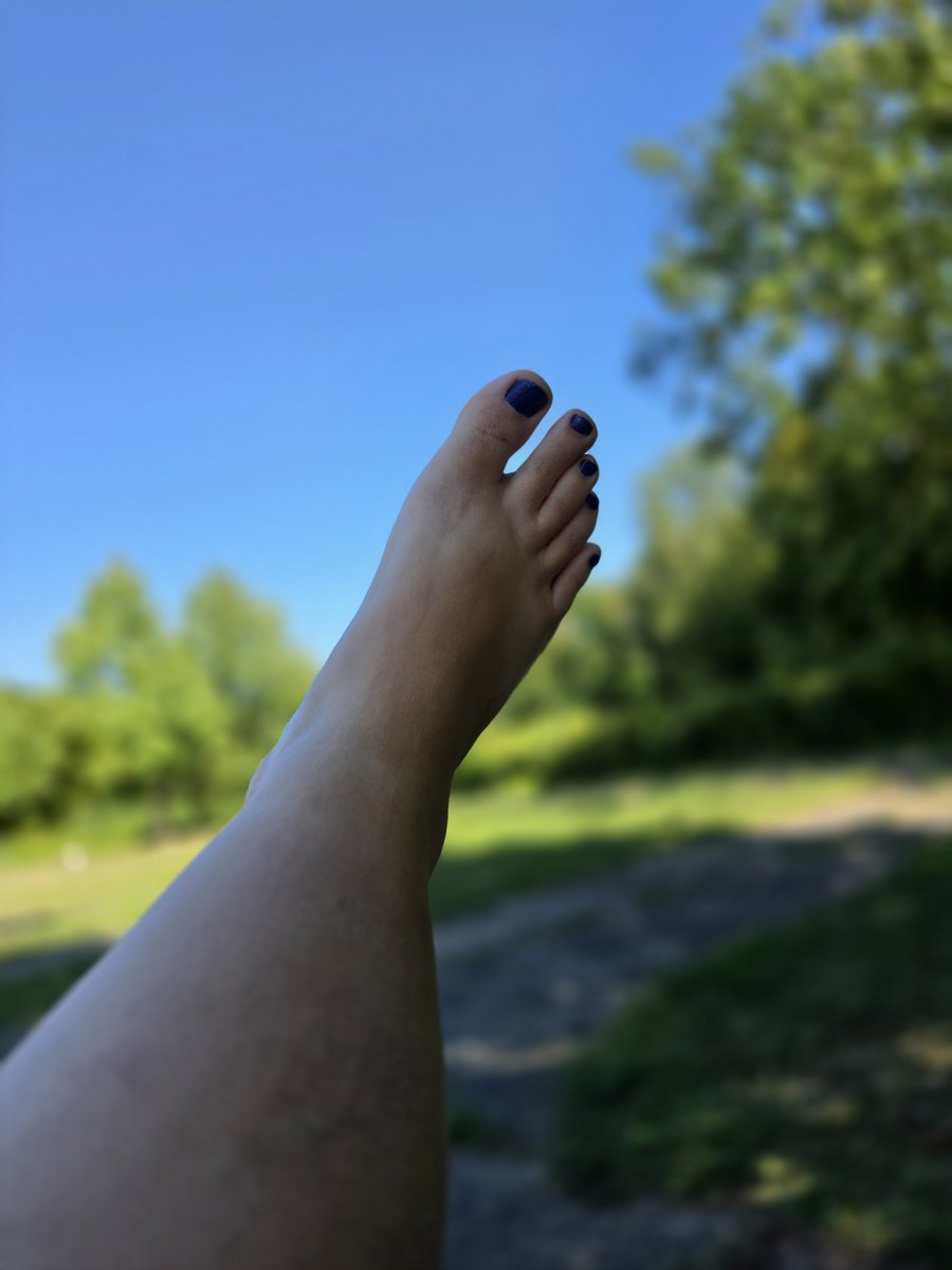 Bettys_Paradies's tweet photo. Urlaub kann sooo schön sein https://t.co/TkNC2VF1Jm