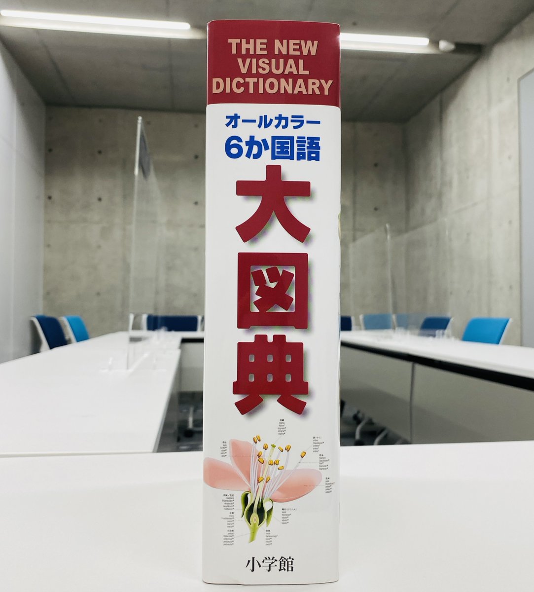 中古】 THE NEW VISUAL DICTIONARY オールカラー6ヶ国語大図典 NEW THE