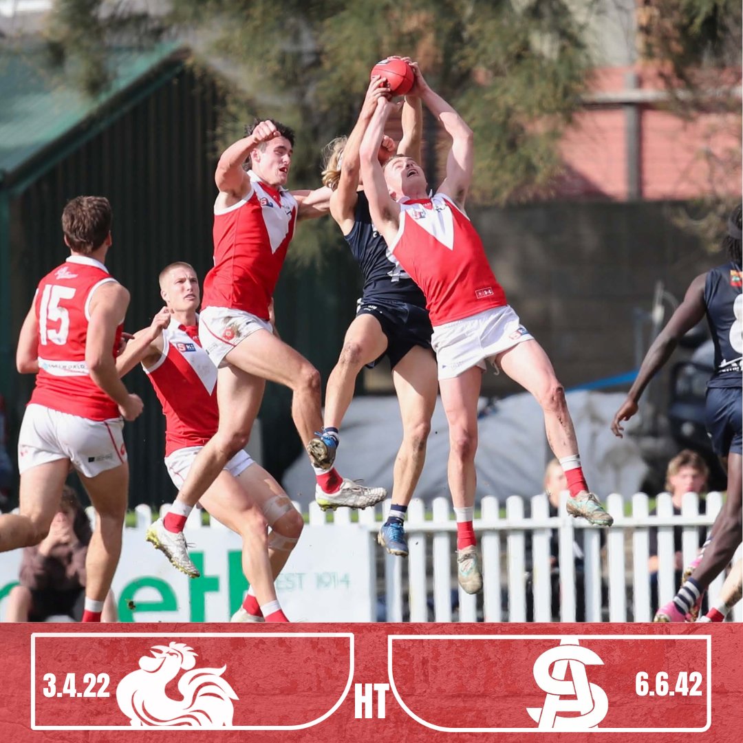 NorthAdelaideFC tweet picture