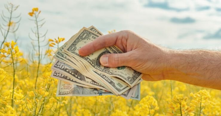 gaurav_kochar's tweet photo. 🚨 RAPESEED MARKET: BLACK SEA DISRUPTION OVERRIDES RECORD SUPPLY 🌻

Rapeseed prices are surging despite USDA projecting a record global 2026/27 crop of 99.08 MMT.

🇫🇷 Paris November rapeseed: €540.5/t — +1.6% in 2 days
🇨🇦 Winnipeg canola: CAD 804/t — +2.9%

The bullish catalyst is logistics.

🇺🇦 Restricted Black Sea port operations are delaying Ukrainian rapeseed flows into Europe.

🇷🇺 Russian shipment disruptions are adding further supply friction.

🌊 Low water levels on the Danube & Rhine are simultaneously inflating transport costs and tightening physical availability.

EU crusher bids are already around €510–520/t for August–September delivery.

But the market faces a formidable bearish counterweight:

USDA raised global rapeseed production by 0.5 MMT to a record 99.08 MMT — 13 MMT above 2024/25.

And September–October brings a seasonal avalanche of soybean, rapeseed and sunflower oil production.

🔥 Logistics are tightening the market NOW.

⚠️ But record supply could overwhelm the rally LATER.

Rapeseed is entering a dangerous tug-of-war between geopolitical supply disruption and an enormous global crop.

#Rapeseed #Canola #BlackSea #Ukraine #Russia #Commodities #AgMarkets #Oilseeds