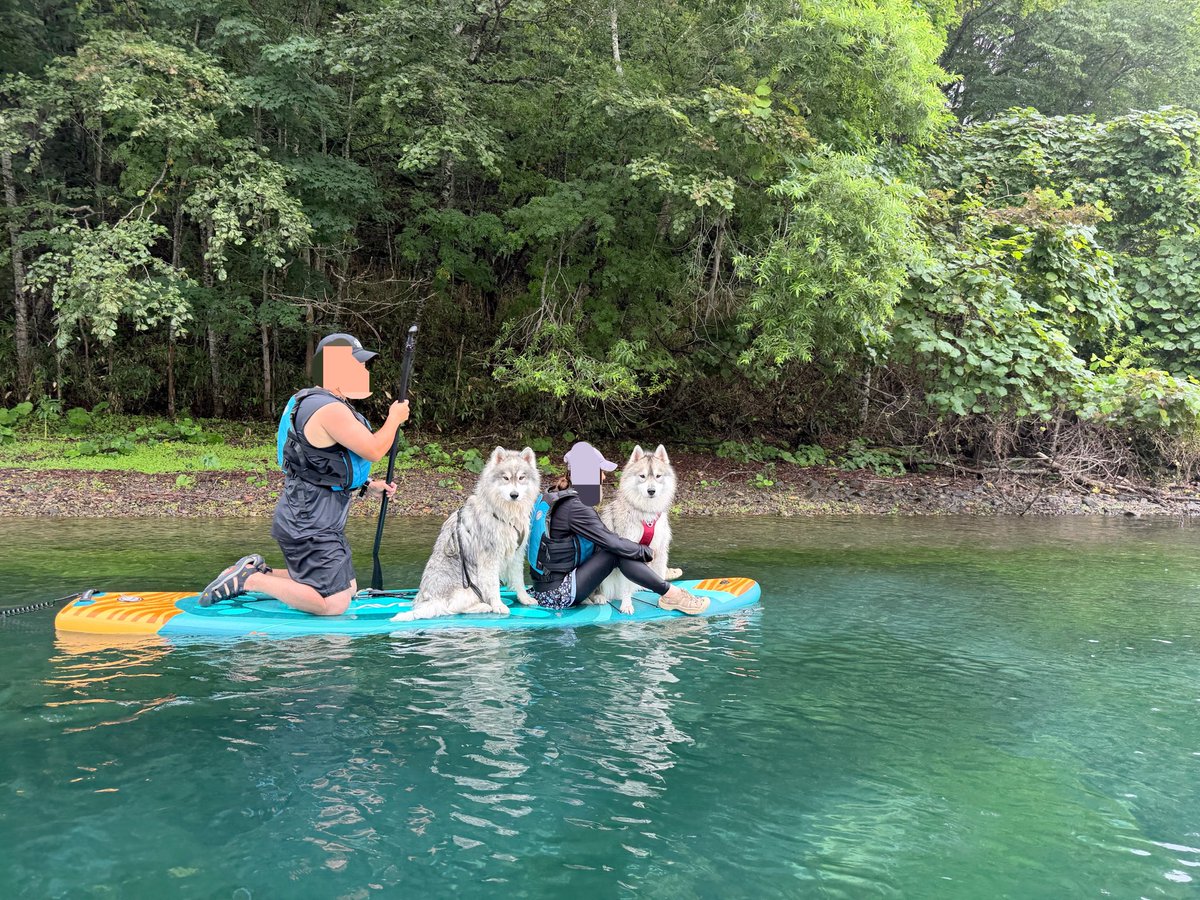 samosky_shirasu's tweet photo. 支笏湖SUP

沢山写真撮られたんだけど
見ず知らずの誰か、送ってください🤣🤣🤣
貰ったのはこれだけ笑 https://t.co/Rp9ZIcUDnL