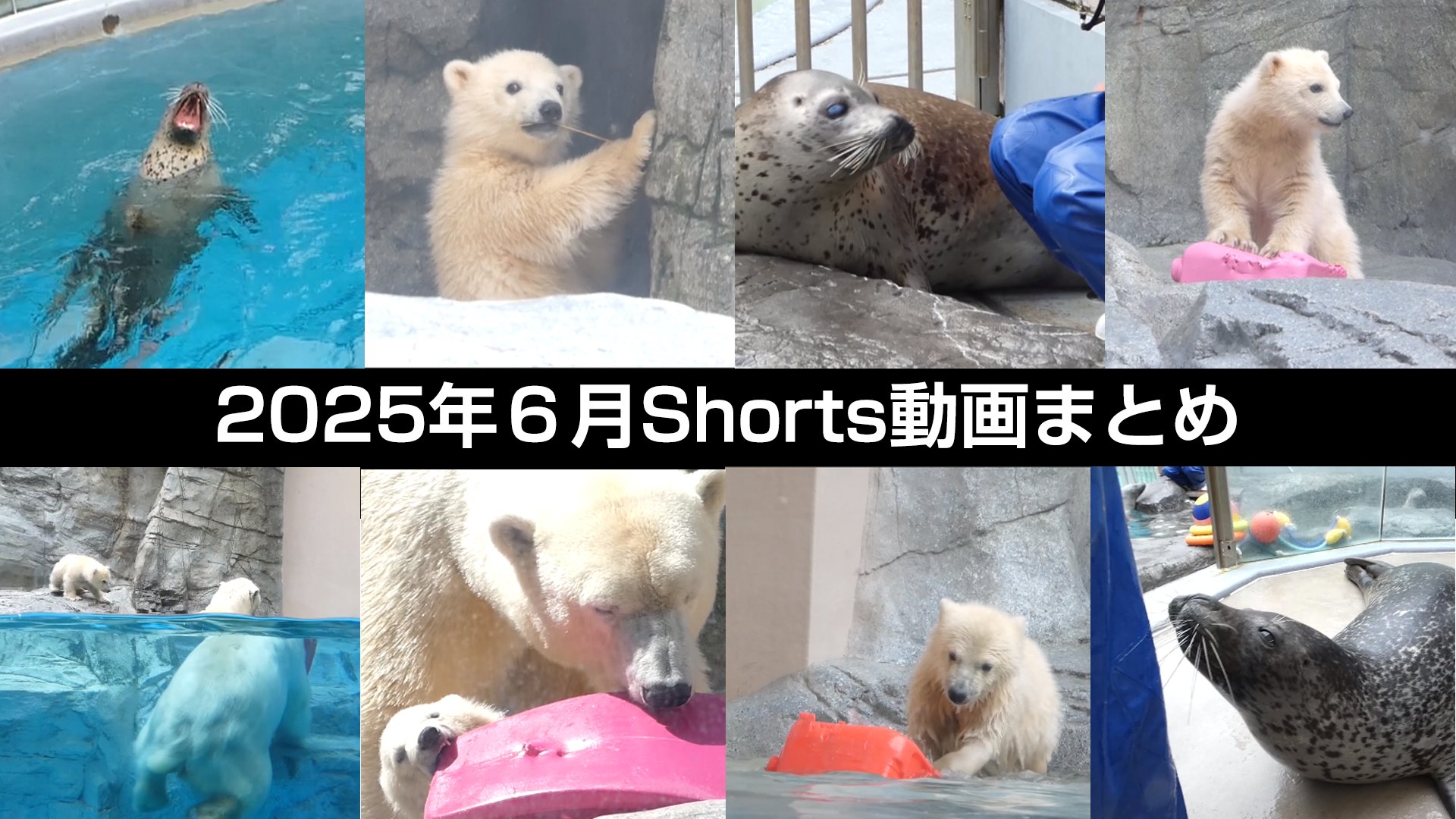 猫井ナツミ on X: 