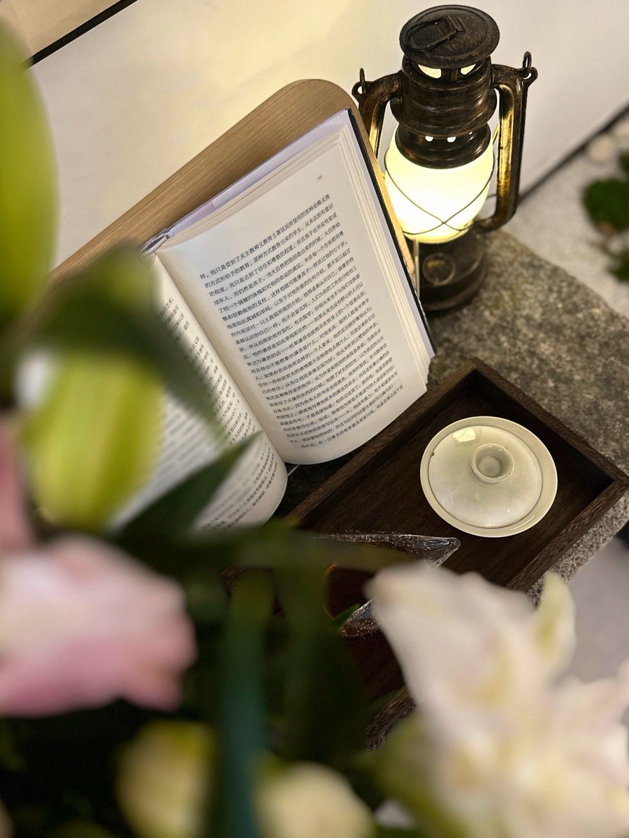 lisaadelehowe81's tweet photo. Cozy rainy Sunday vibe  Making hot cocoa, curling up with a good book, and forgetting all about the to-do list. Soft lamp glow + warm blanket = perfect little escape. https://t.co/aepWEXZ54I