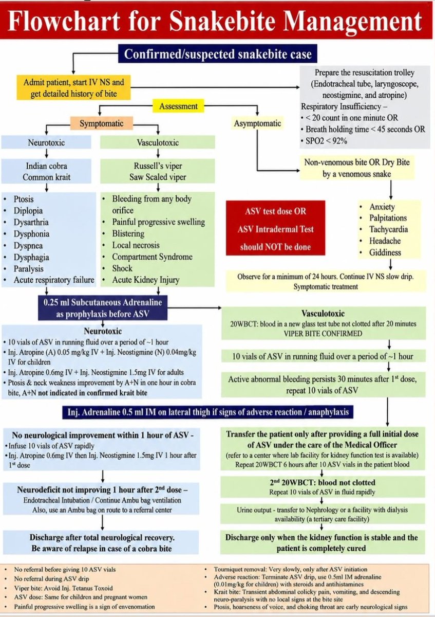 drsthanus's tweet photo. A clinical protocol or flowchart for the management and treatment of confirmed or suspected snakebite cases, detailing assessments for neurotoxic and vasculotoxic envenomation, administration of anti-snake venom (ASV), and supportive care measures.

https://t.co/mSIzYZRK46 https://t.co/AfmvOQFgnO
