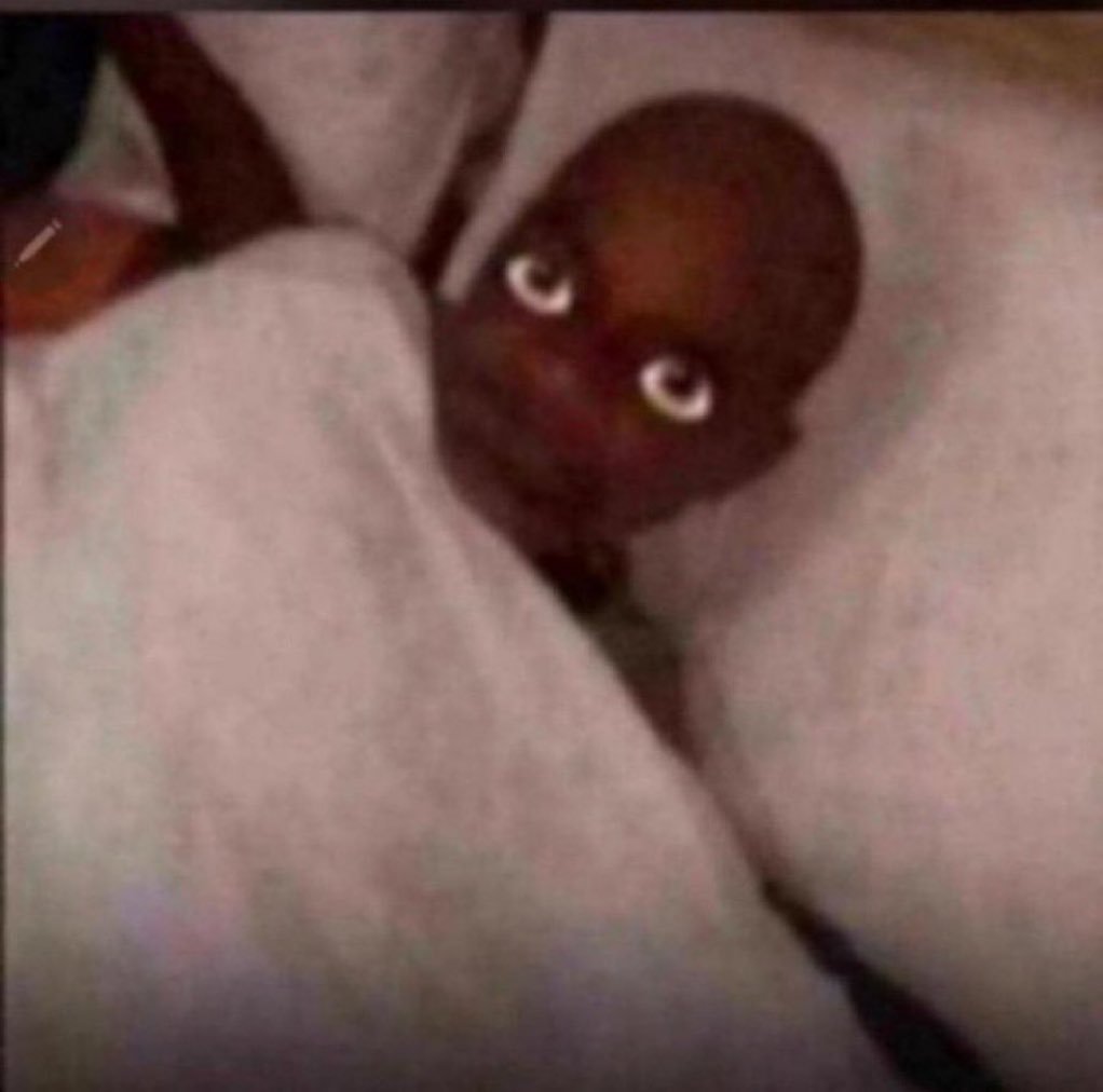 JustForL0Lz's tweet photo. Watching everyone else post about their 5 AM productive morning routines while I’m on my 3rd alarm https://t.co/FuS2jnfCCQ