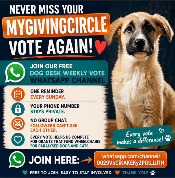 DogDeskAction's tweet photo. Never forget your MyGivingCircle vote. ❤️

Our WhatsApp Channel sends one reminder every Sunday

✅ Your phone number isn't visible to us or other followers.
✅ Followers can't chat with each other.
✅ One message a week. Nothing More

Join here ⬇️
https://t.co/99Ht2qJVTu https://t.co/pTM2JOZUEg