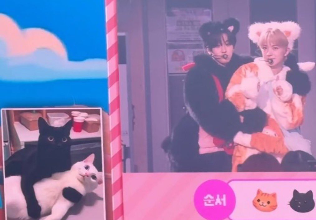rhnkps's tweet photo. @neko_magazine nctwishのリクとユウシです！ぜひ🥺🙏🏻
🐈‍⬛🐈 https://t.co/f70JhYydDZ