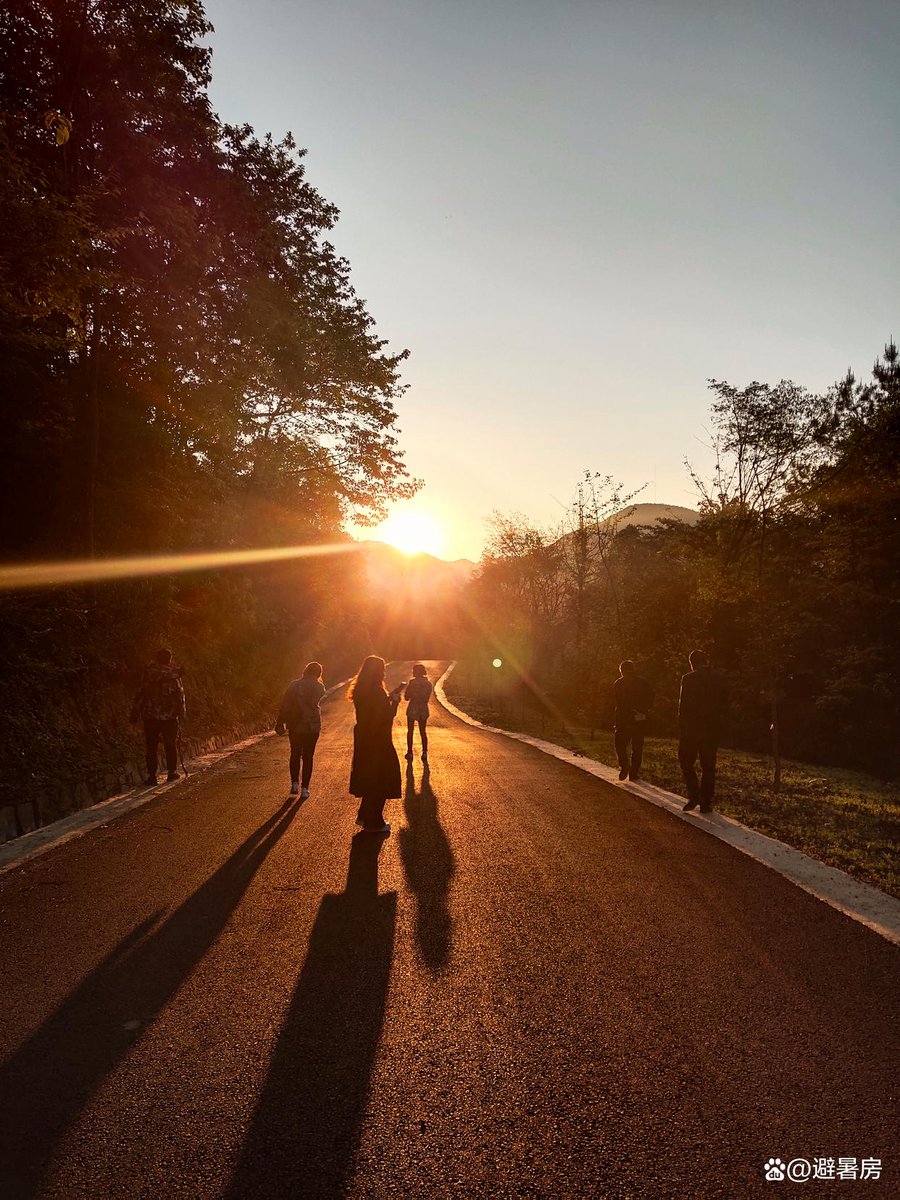 TuburanBryan's tweet photo. Just had my 10-minute walk break in the sun—my shoulders unclenched, and I felt the first real ease all week. Small wins hit different https://t.co/5UIyl9b8cJ