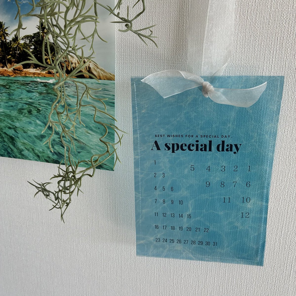 happywrapping1's tweet photo. 透け感たっぷりの封筒です✨
誕生日や特別な記念日を記してみませんか？
#ハンドメイド
#minne_new
#誕生日 https://t.co/fY3VBslz88