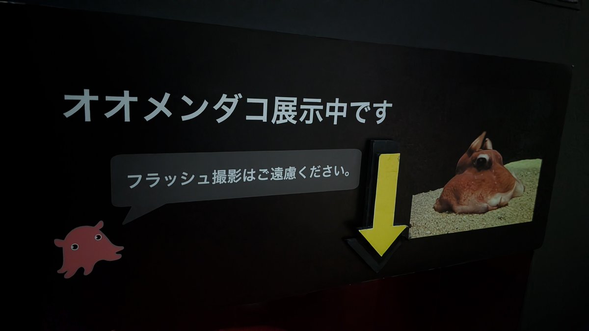 undefined624's tweet photo. ヤッチョ！？ https://t.co/WAqFCtyItu