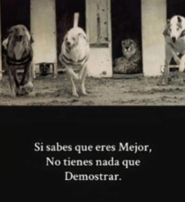 PerdiLosRasgos's tweet photo. el hdp @agusdelusion https://t.co/1XugeR9n3c