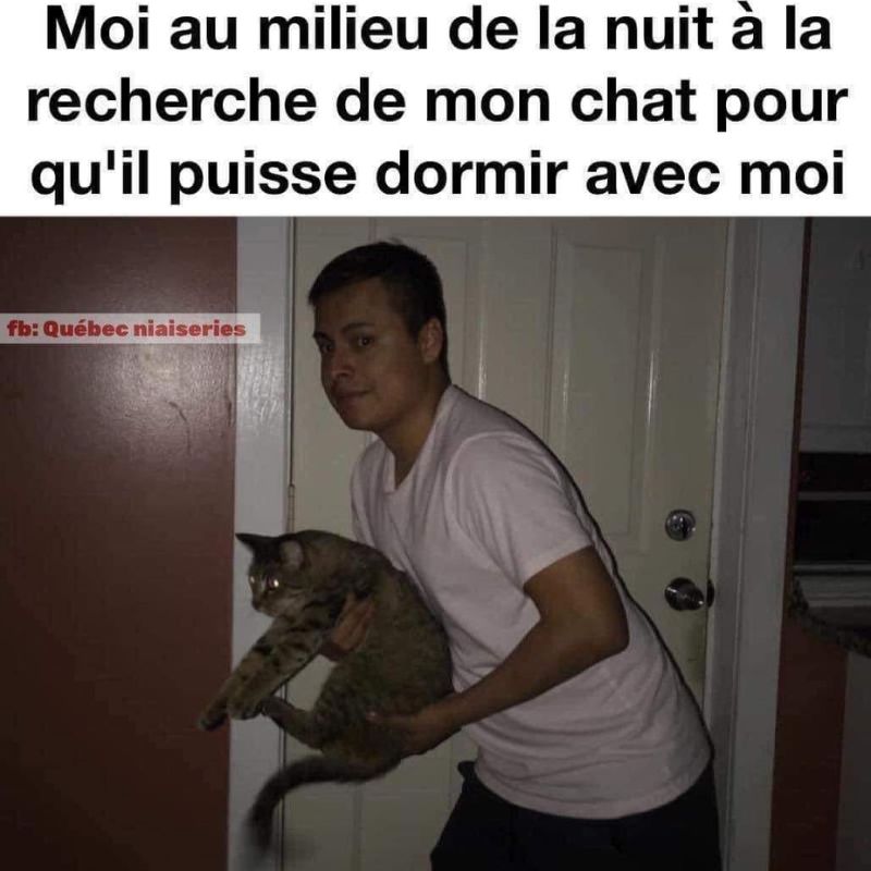 BeguinChat's tweet photo. ππ€£ππ
#chat #chats #chaton #chatons #funnycat #funnycats #felin #gato #gatos #gatto #minet #bouledepoil #kitten #kitty #mdr #lol #marrant #humourchat #humourchats #chatdrole #katze #rigolo #marrant https://t.co/Q1HUPYQ4QA