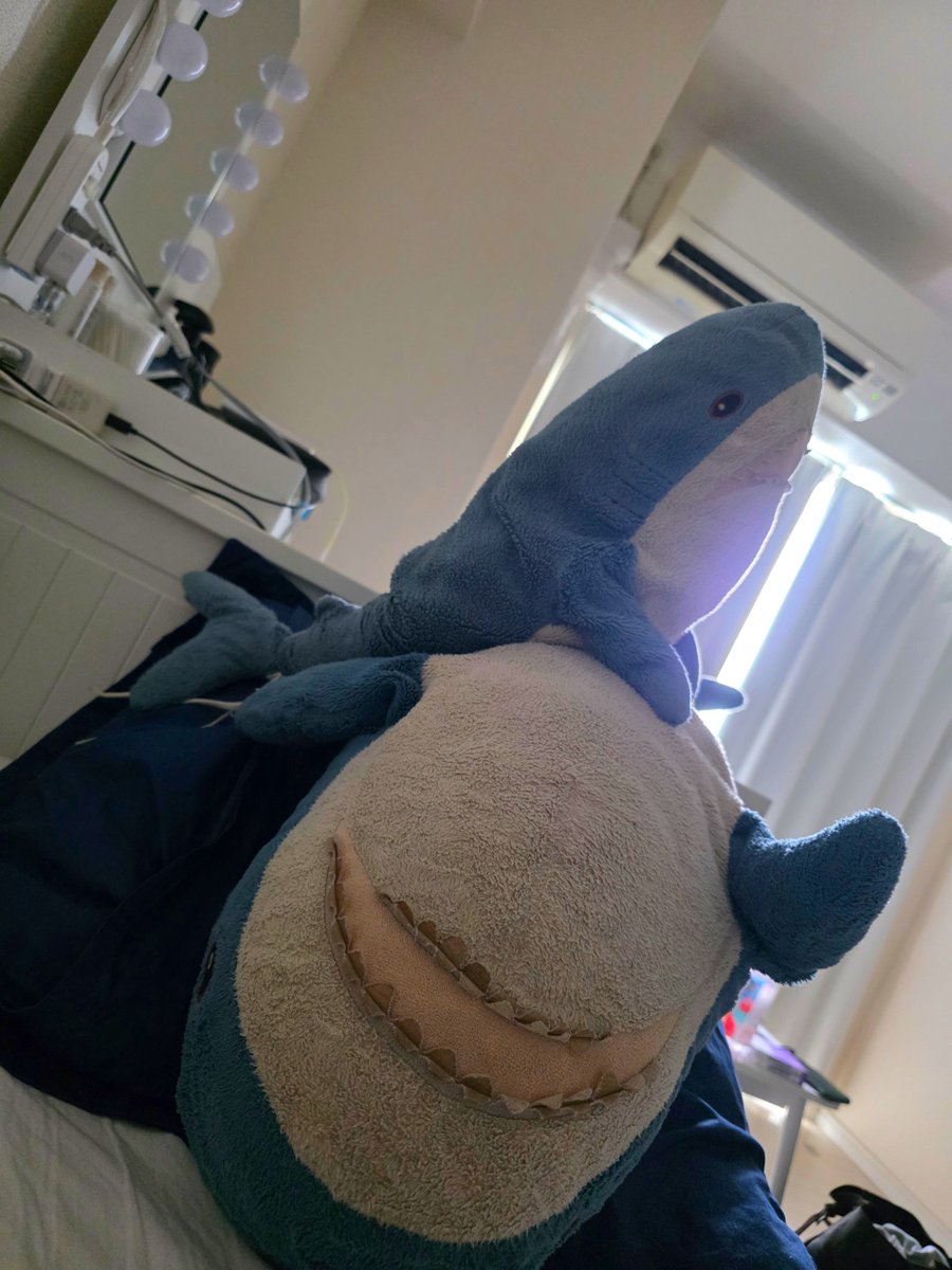 chimponya55's tweet photo. ついにおにゃを倒したこにゃ https://t.co/8txh2ysMNN
