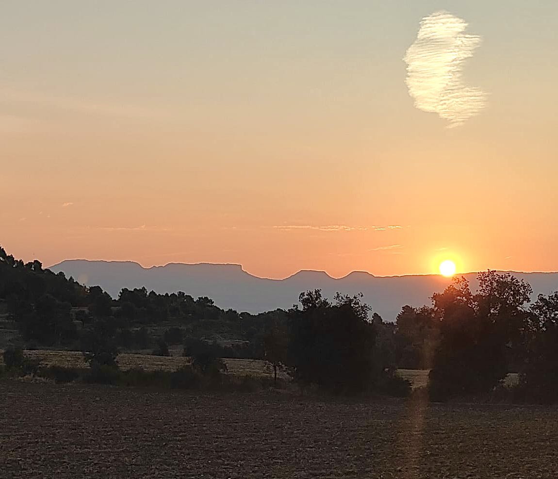 calignasidedebo's tweet photo. Bon dia, ja sou llevats? a la Plana de Vic el sol surt per el Collsacabra, la nostra silueta inconfundible, la nostra singularitat, gràcies @jaumepalaufont 🌹#collsacabra #cantonigròs #sortidadesol https://t.co/TCqrOv095x