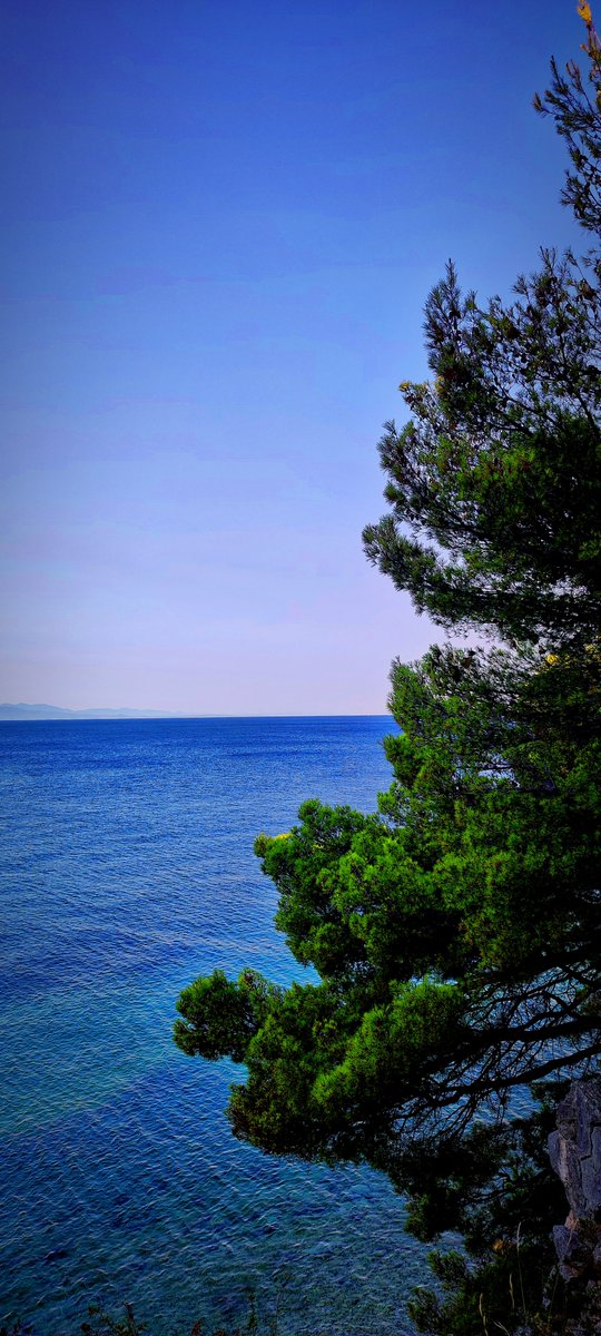 AimarMo85's tweet photo. Good morning! 😎 #croatia #zaostrog #adriatic #photography #photo #photooftheday #croatiafulloflife #beach #beautiful https://t.co/WbTLIGbCUl