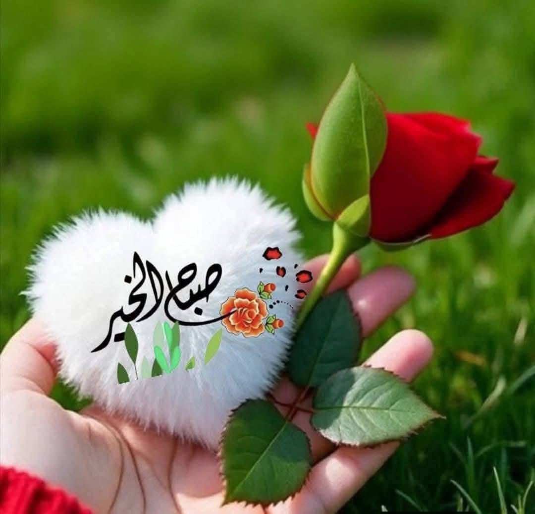 AnAlntah's tweet photo. @fatemazahra_ https://t.co/jZXadUw0LS