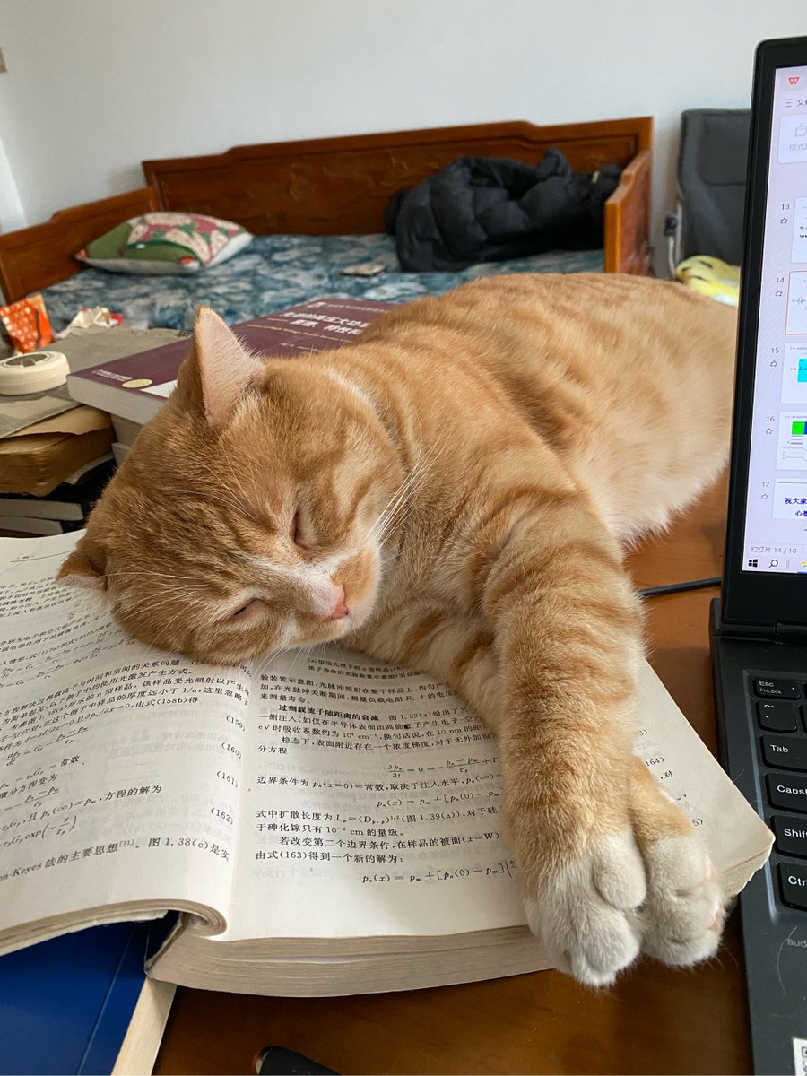 Lol44130227's tweet photo. Spent 10 mins explaining to my cat why I can't skip work to play with it. It just blinked and knocked over my coffee mug. Relatable. #WorkLife #OfficeHumor https://t.co/s7Ysgh3Jfk