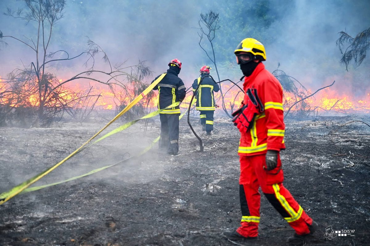 Sdis_87's tweet photo. 🔥 à 19h feu de forêt 🌳à #Marval où une dizaine d'hectares a été ravagé par les flammes. Des renforts venus de la Dordogne (Abjat et Piégut)@pompiers24 ont prêté main-forte aux sapeurs #pompiers de la Haute Vienne déjà bien éprouvés par cette journée torride
📷S.Lariviere SDIS87 https://t.co/2YZ1fwHSZm