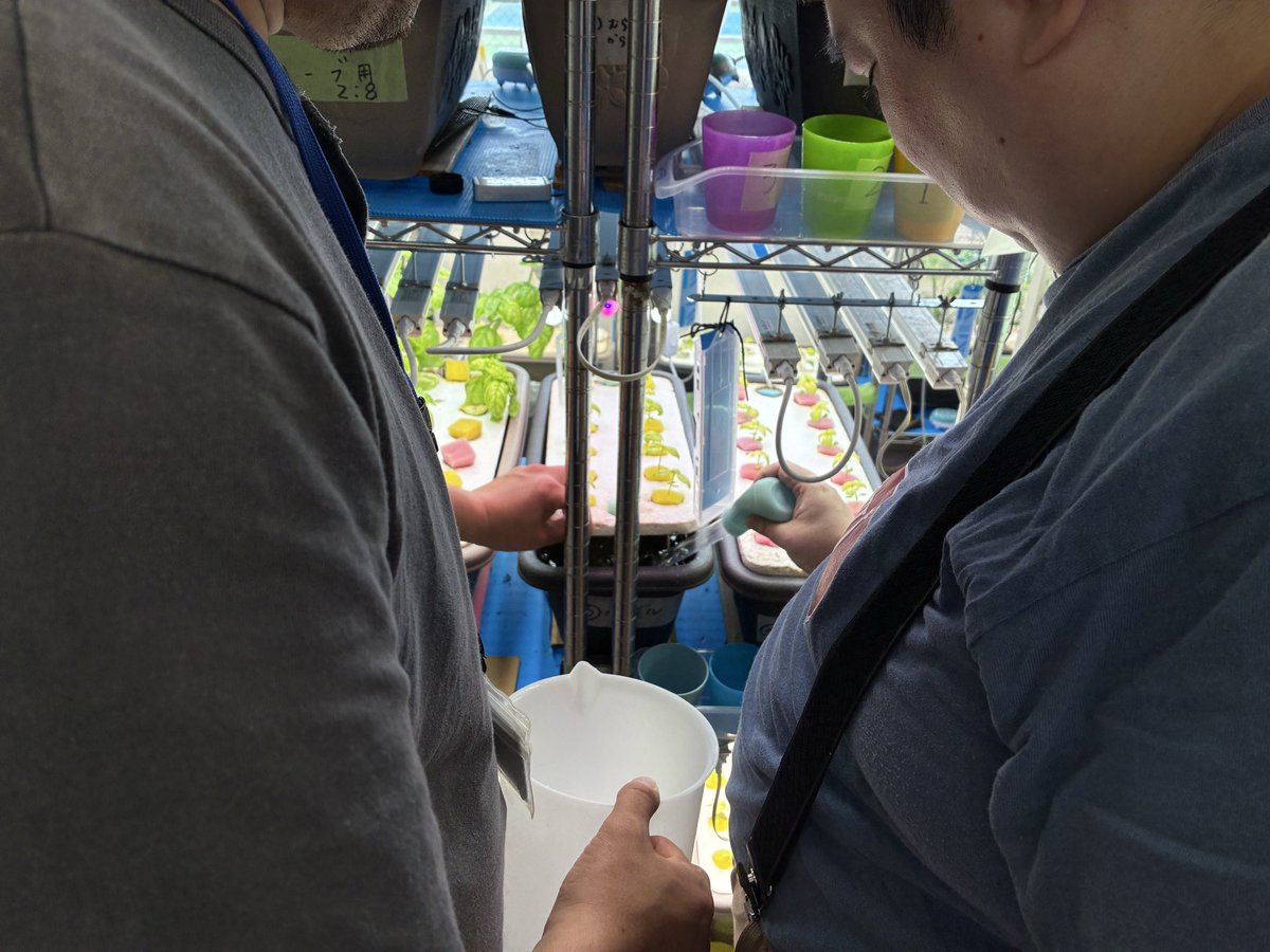 ohc_agriwell's tweet photo. 社会福祉法人横浜共生会
しんよこはま地域活動ホーム
（横浜市港北区:生活介護）
作業室4（通称:わくぽに）室内
有機水耕栽培

次の販売予定は９月５日のびすけっと祭り
お盆期間中で何となくいつもと違う
静かな雰囲気ですが
メンバーさんの作業は途切れません。

#しんよこはま
#水耕栽培 https://t.co/CDsIWPFu0Z