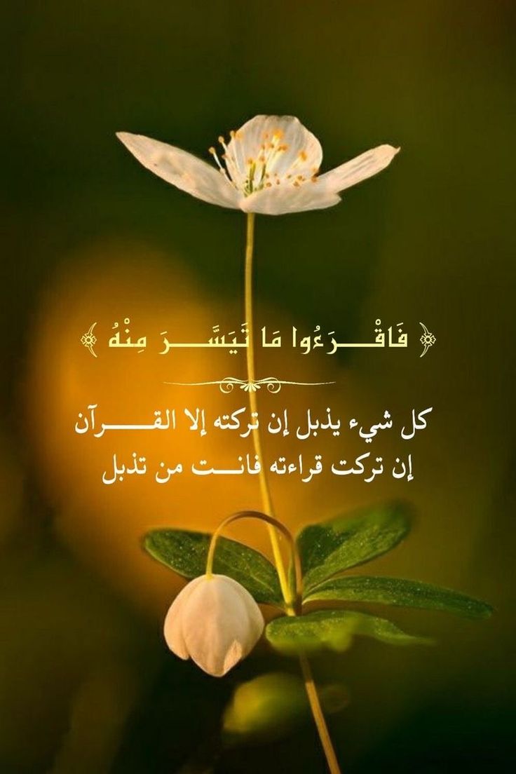 naaeemalsubhi1's tweet photo. https://t.co/1o1jNCQN2L