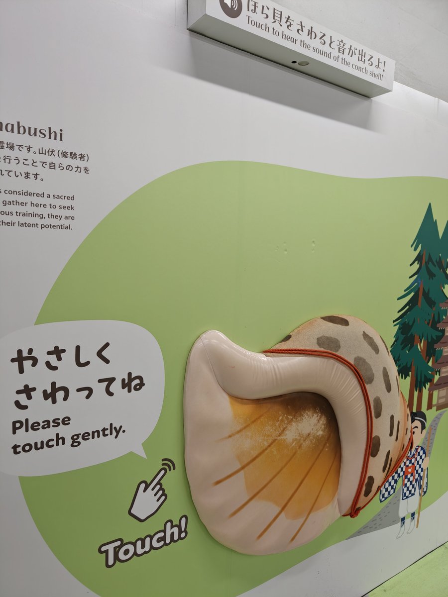 センシティブ画像じゃありません。本当です
