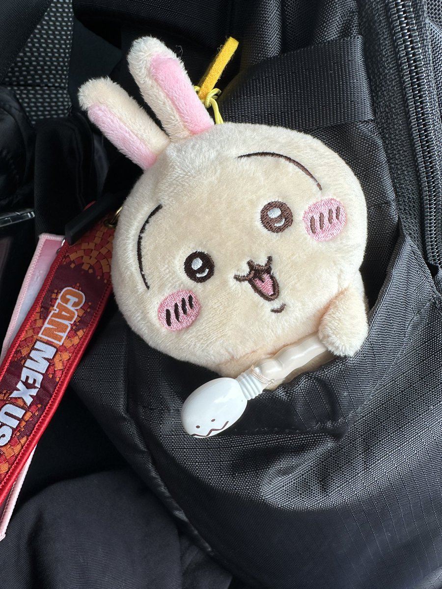 world_fficial's tweet photo. これからツツウラウラ
色んなところに行こうな！ https://t.co/JbvlHwpXDx