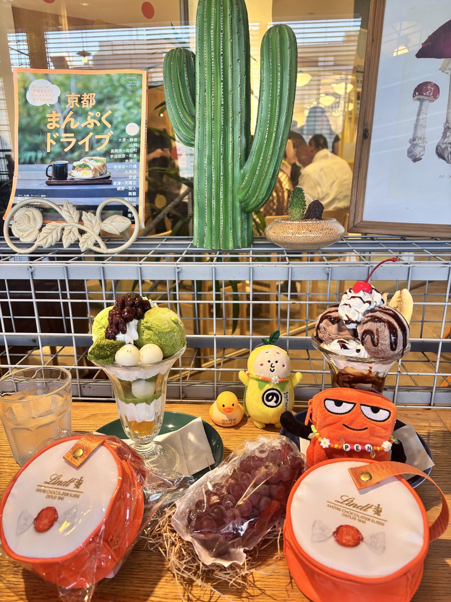 hapisai1974's tweet photo. 全く同じ誕生日のかなでちゃんからポルノグラフルーティお裾分けして頂いた🍇✨️
ありがとうすぎる！
初めましてやったのにめっちゃ話した！

サボテン🌵のある席に案内された私たち。最高じゃー！！
残響(仮)ってこんなに瑞々しいのね🥰 https://t.co/M6nxcrskqn