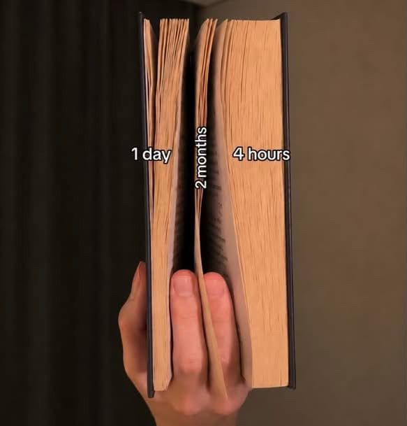 RaminNasibov's tweet photo. This is how i read. https://t.co/yjDZPcpPK8