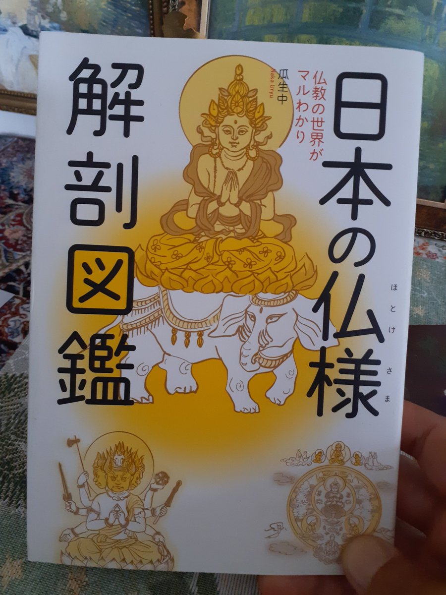 エクスナレッジ社 瓜生中 / 日本の仏様解剖図鑑 一通り読んだ 展覧会