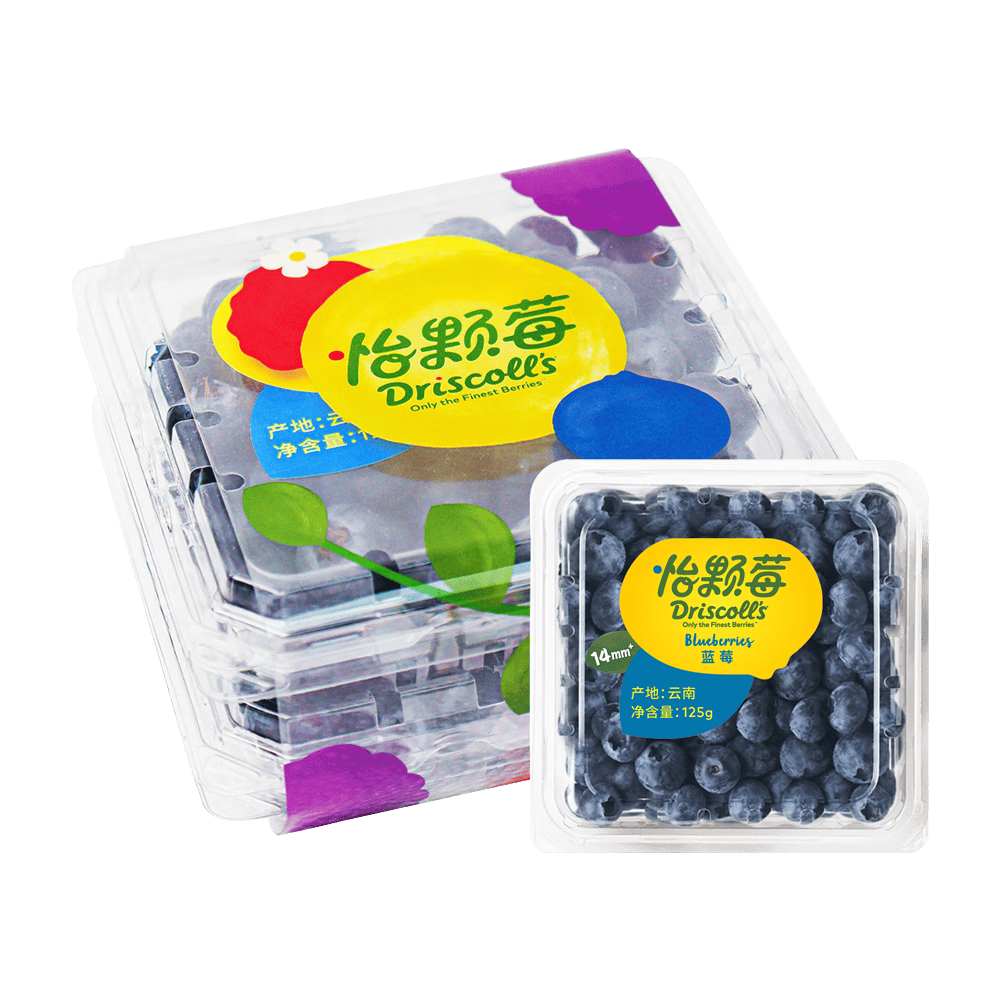 R3incarnat3's tweet photo. Fresh wild blueberries just landed! Bursting with natural sweetness u0026 juicy crunch—no added sugar, perfect for yogurt, oatmeal or snacking. A must-have for your next healthy bite!， https://t.co/7oQuegHOav