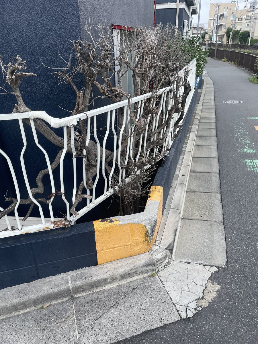 hachiozin's tweet photo. 植木の枝で柵を支えている
#残余地 https://t.co/EJndq1QNuG