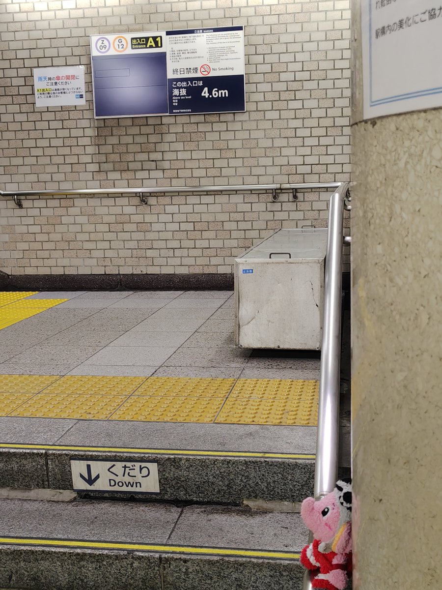 mozukumi326's tweet photo. 【拡散希望】🐘
たった今、地下鉄「三越前駅」A1出口階段下で、ジャンボくん捕獲しました🐘

一番近い半蔵門線改札の窓口に預けました。
無事にお家に帰れますように🐘

#千葉ジェッツふなばし
#ジャンボくん https://t.co/z5qOE39dfk